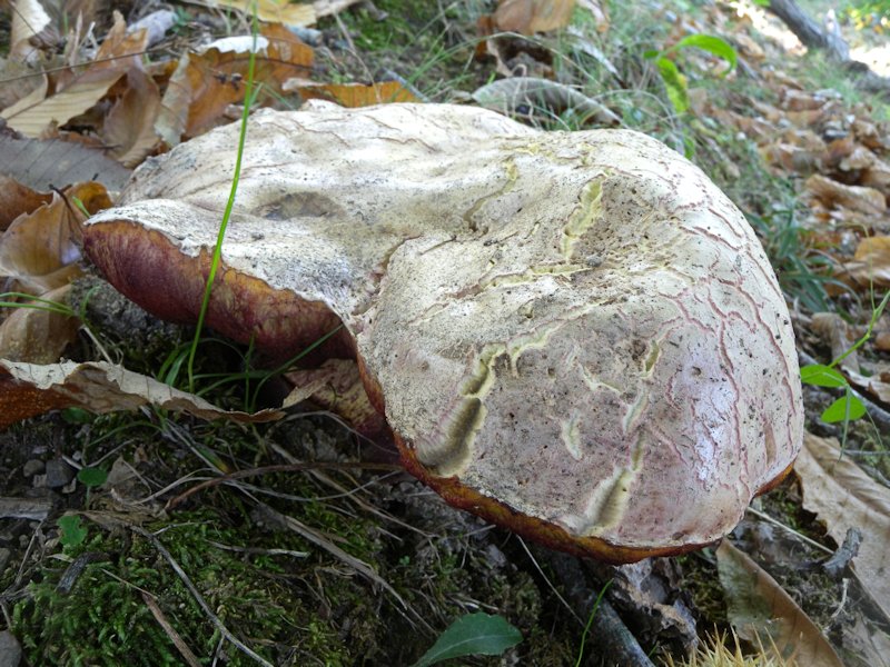 Forse l''ultima bellissima giornata..!!